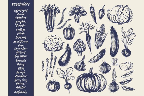 The Art and Utility of Ink Vegetable Sketches for Modern Design